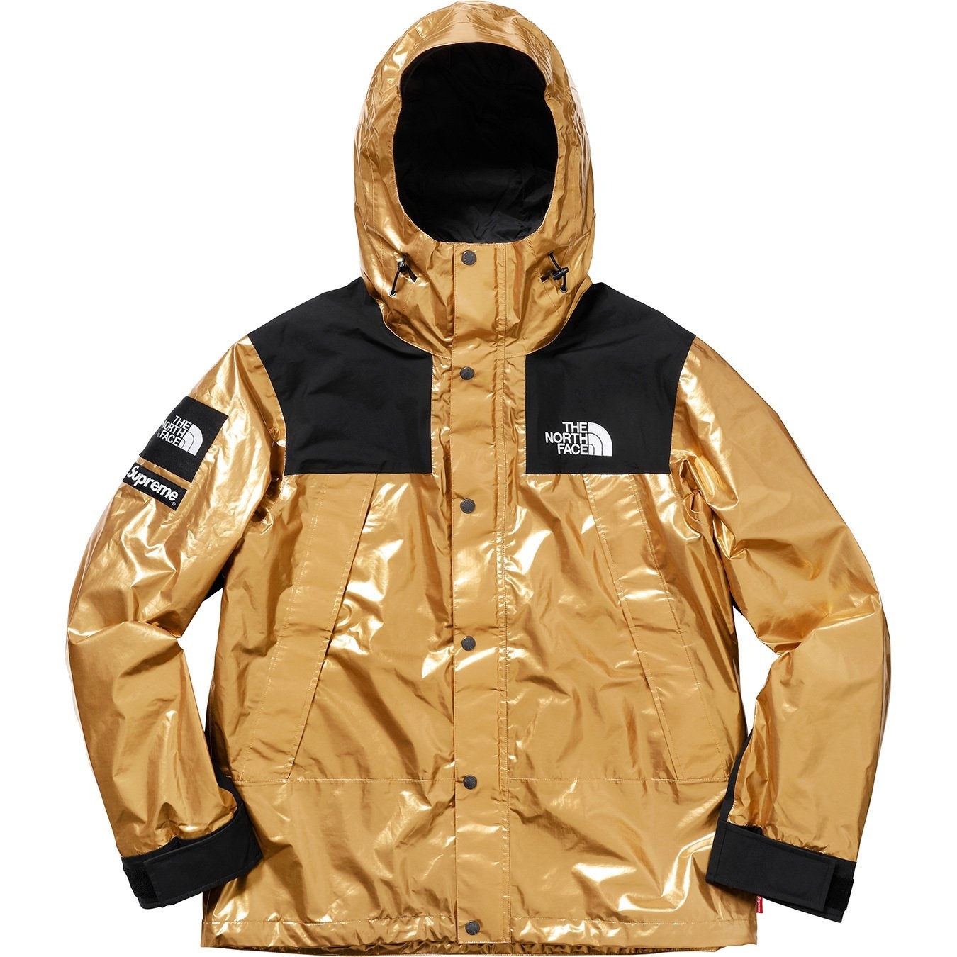 Supreme®/The North Face® Metallic Mountain Parka view 9